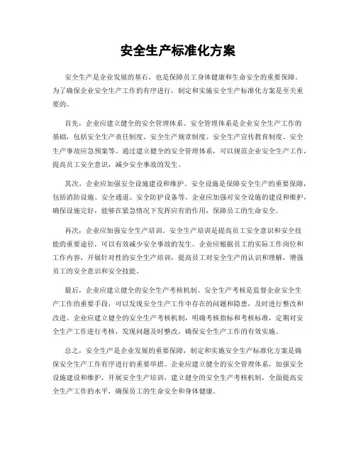 安全生产标准化方案
