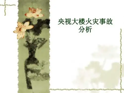 央视大楼火灾事故分析.
