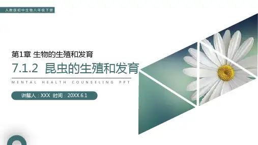 《昆虫的生殖和发育》人教版初中生物八年级初二下册PPT课件
