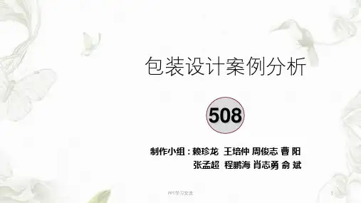 包装设计汇报案例分析