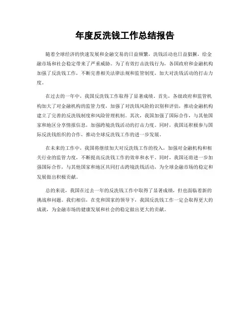年度反洗钱工作总结报告