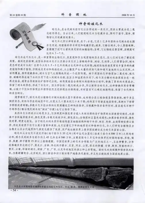 神奇的硅化木