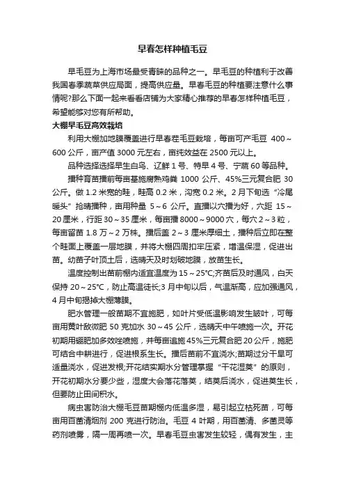 早春怎样种植毛豆