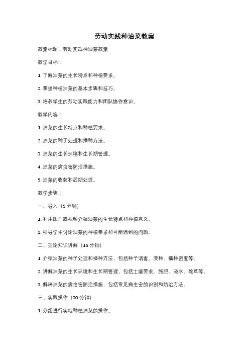 劳动实践种油菜教案