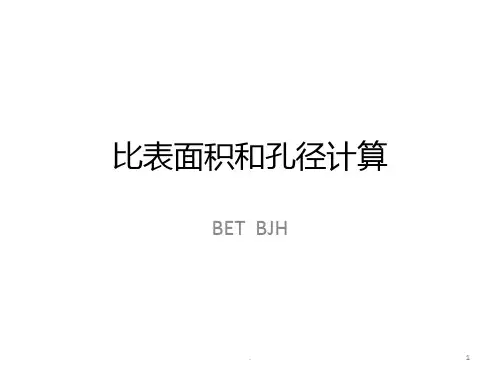 BET比表面积和孔径课件