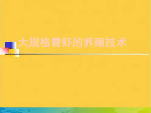 大规格青虾的养殖技术全套PPT