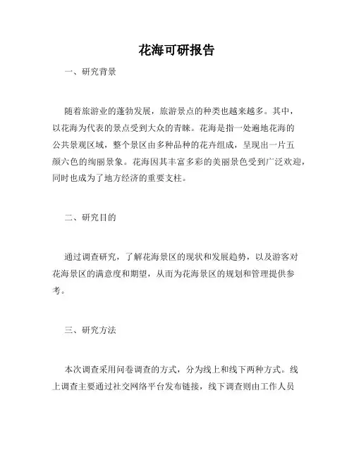花海可研报告