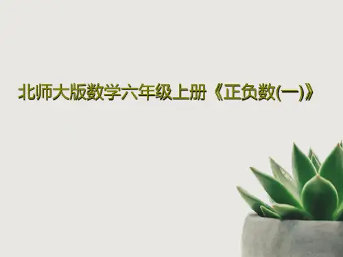 北师大版数学六年级上册《正负数(一)》共21页