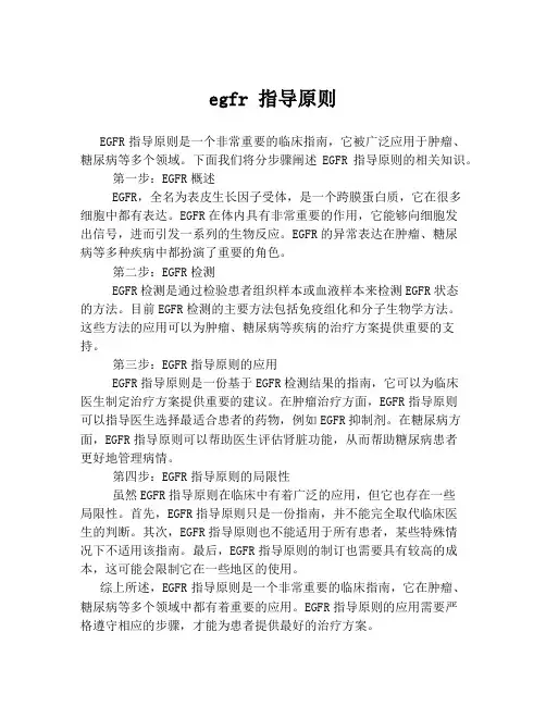 egfr 指导原则