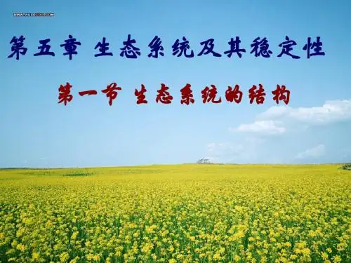 第1节生态系统的结构
