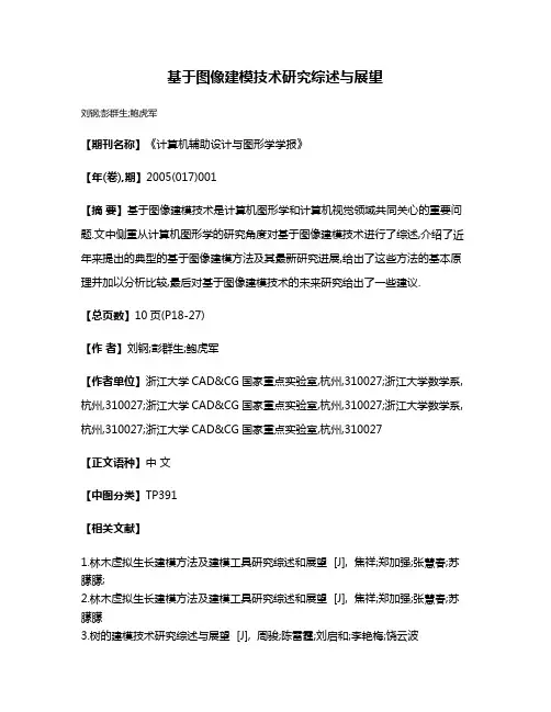 基于图像建模技术研究综述与展望