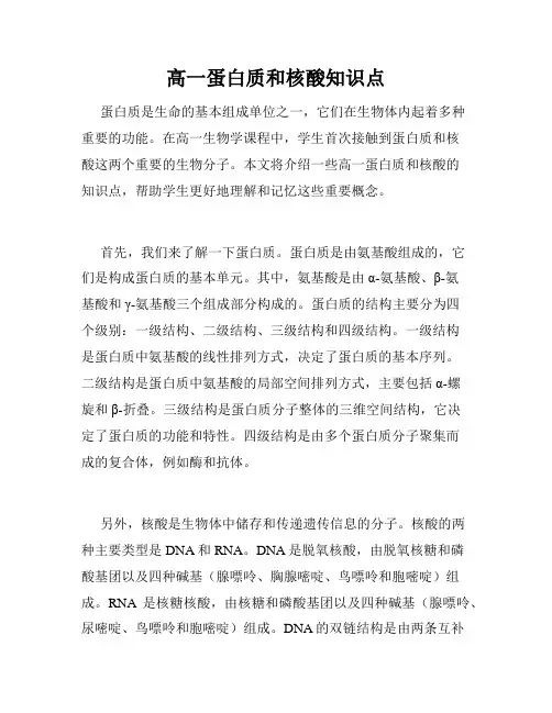 高一蛋白质和核酸知识点
