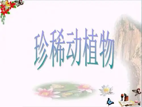 六年级科学上册珍稀动植物ppt课件6青岛版