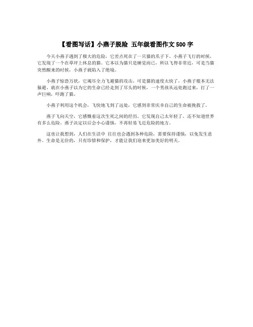 【看图写话】小燕子脱险 五年级看图作文500字