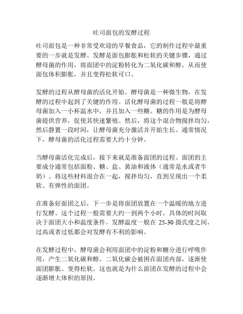 吐司面包的发酵过程