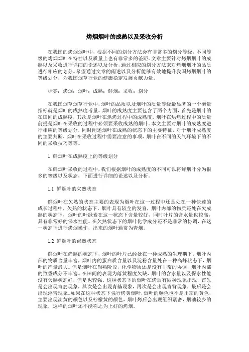 烤烟烟叶的成熟以及采收分析