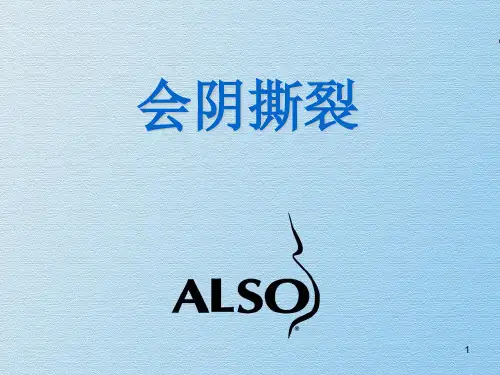 会阴裂伤缝合ppt课件