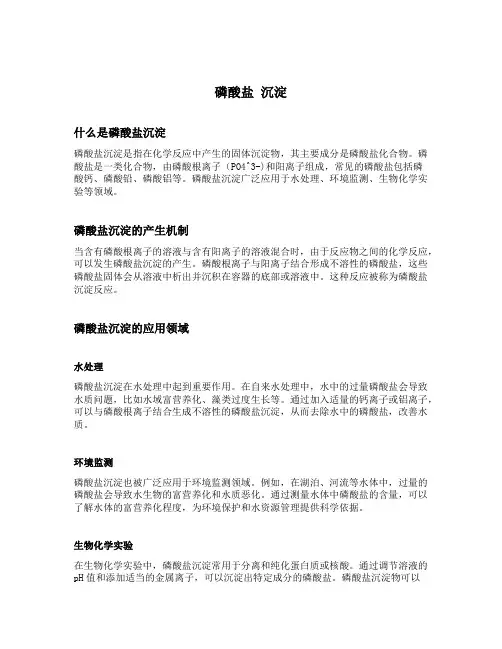 磷酸盐 沉淀