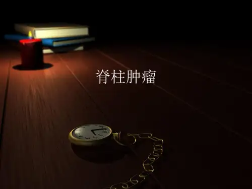 脊柱占位