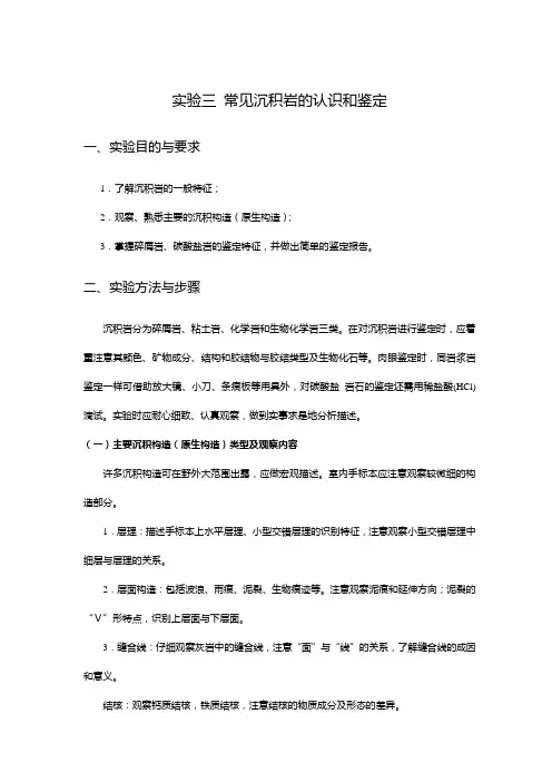 工程地质实验 常见沉积岩的认识和鉴定