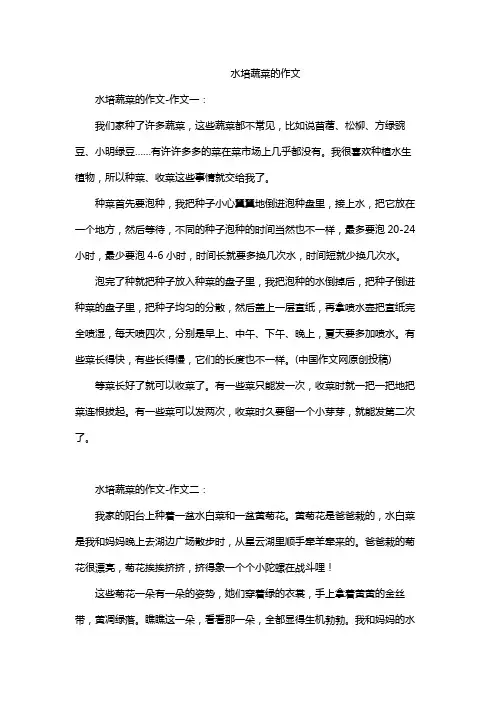水培蔬菜的作文