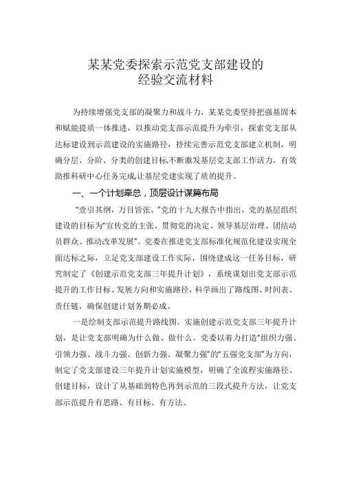 某某党委探索示范党支部建设的经验交流材料
