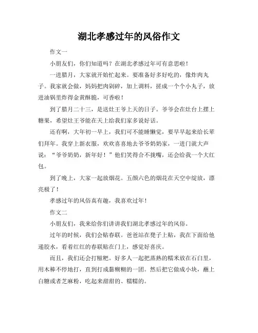 湖北孝感过年的风俗作文