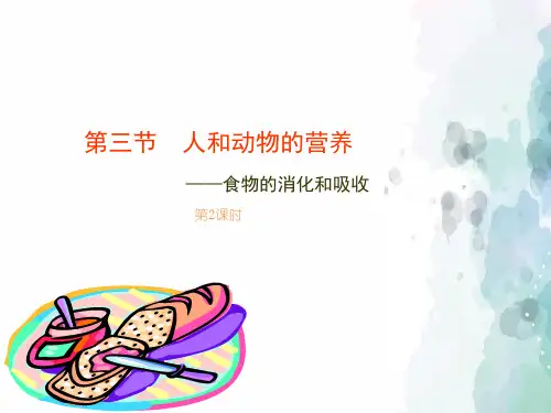 北京课改版生物-七年级上册-高效备课 《人和动物的营养》第2课时 课件2
