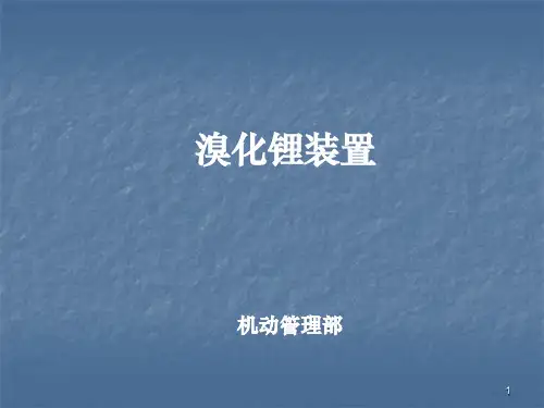 溴化锂培训ppt课件