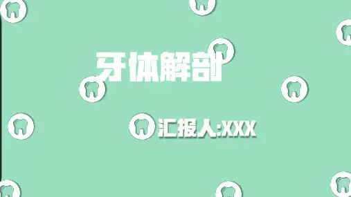 恒牙乳牙牙体解剖