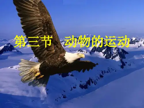 济南版七年级生物上册 2.2.3 动物的运动 ppt