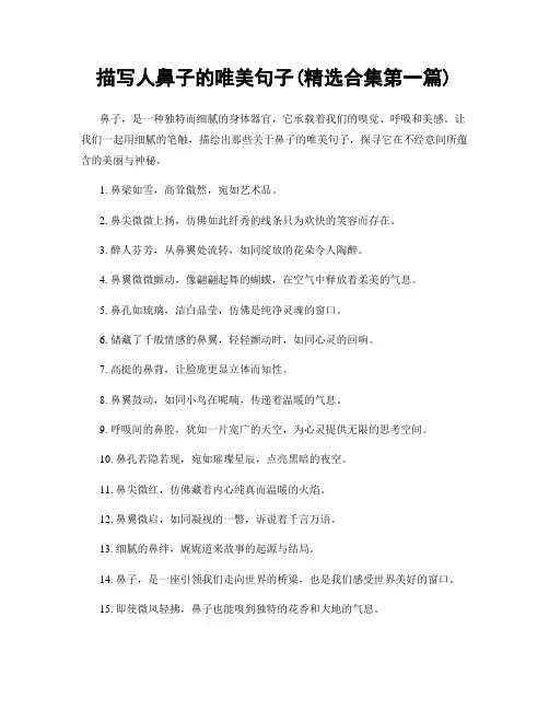 描写人鼻子的唯美句子(精选合集两篇)