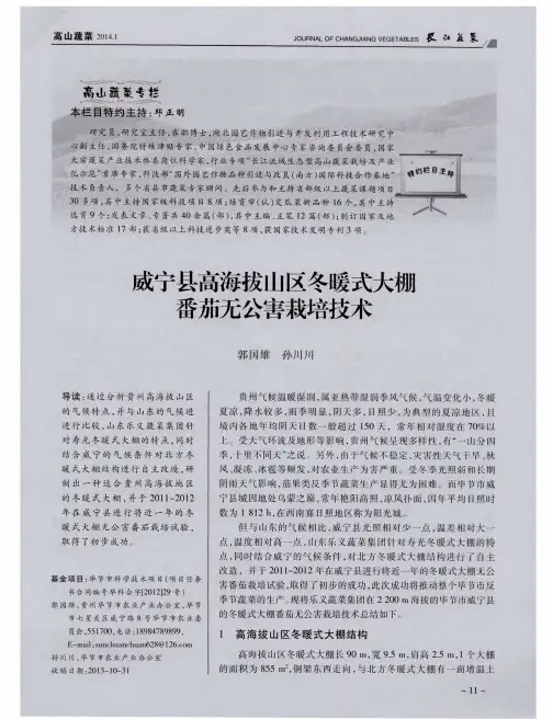 威宁县高海拔山区冬暖式大棚番茄无公害栽培技术