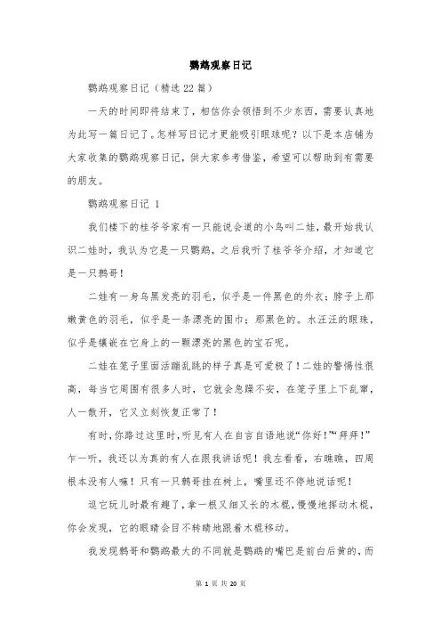 鹦鹉观察日记