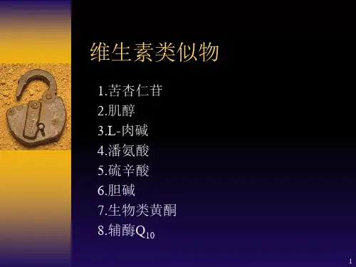 《功能性食品》精选演示PPT
