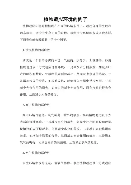 植物适应环境的例子
