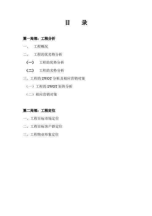 项目分析与项目定位