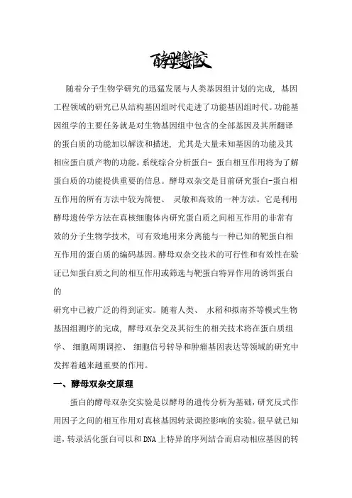 酵母双杂交