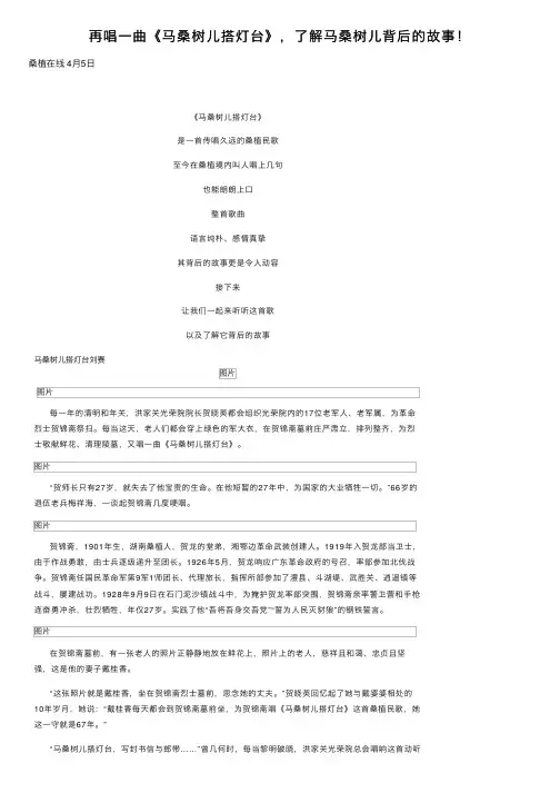 再唱一曲《马桑树儿搭灯台》，了解马桑树儿背后的故事！