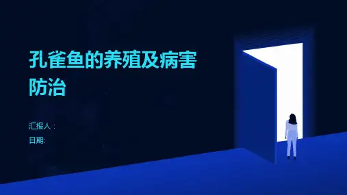 孔雀鱼的养殖及病害防治