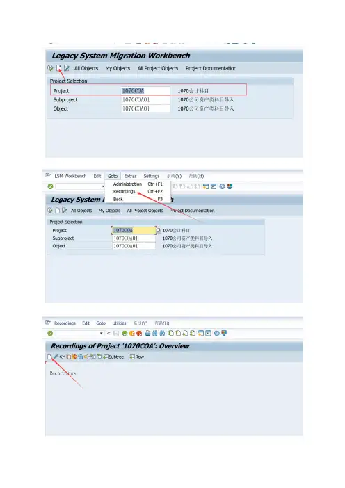 LSMW 操作手册