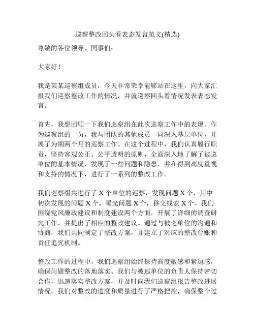 巡察整改回头看表态发言范文(精选)