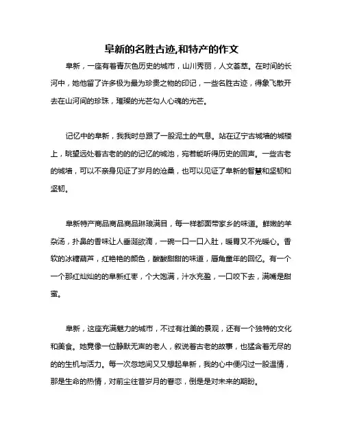 阜新的名胜古迹,和特产的作文
