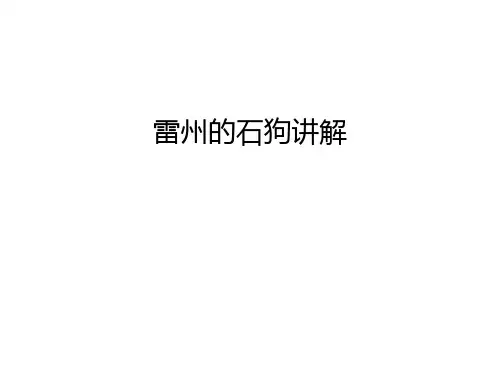 【资料】雷州的石狗讲解汇编