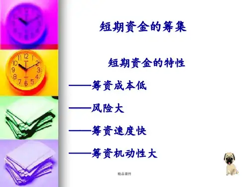 短期资金的筹集