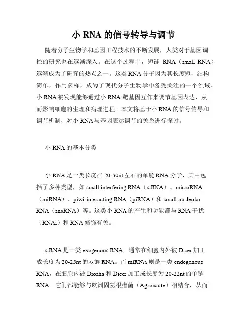 小RNA的信号转导与调节