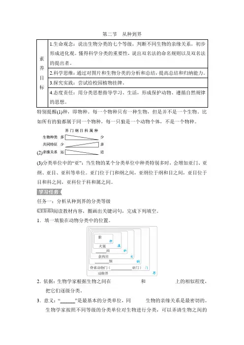 6.1.2从种到界导学案人教版生物八年级上册