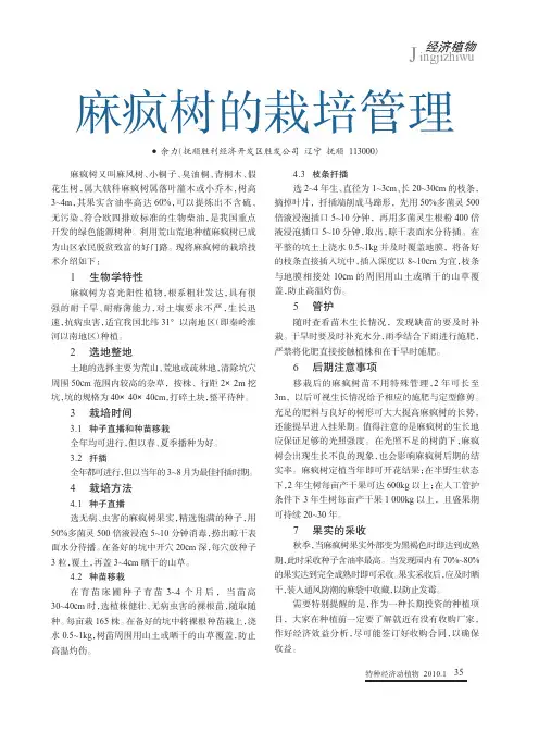 麻疯树的栽培管理