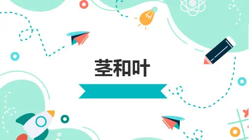 教科版科学四年级下册1.4茎和叶(课件)