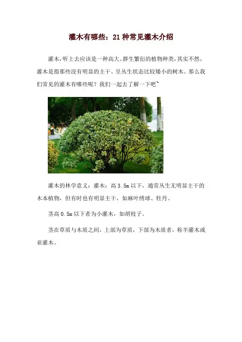 灌木有哪些：21种常见灌木介绍